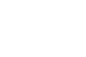 veio-logo-8